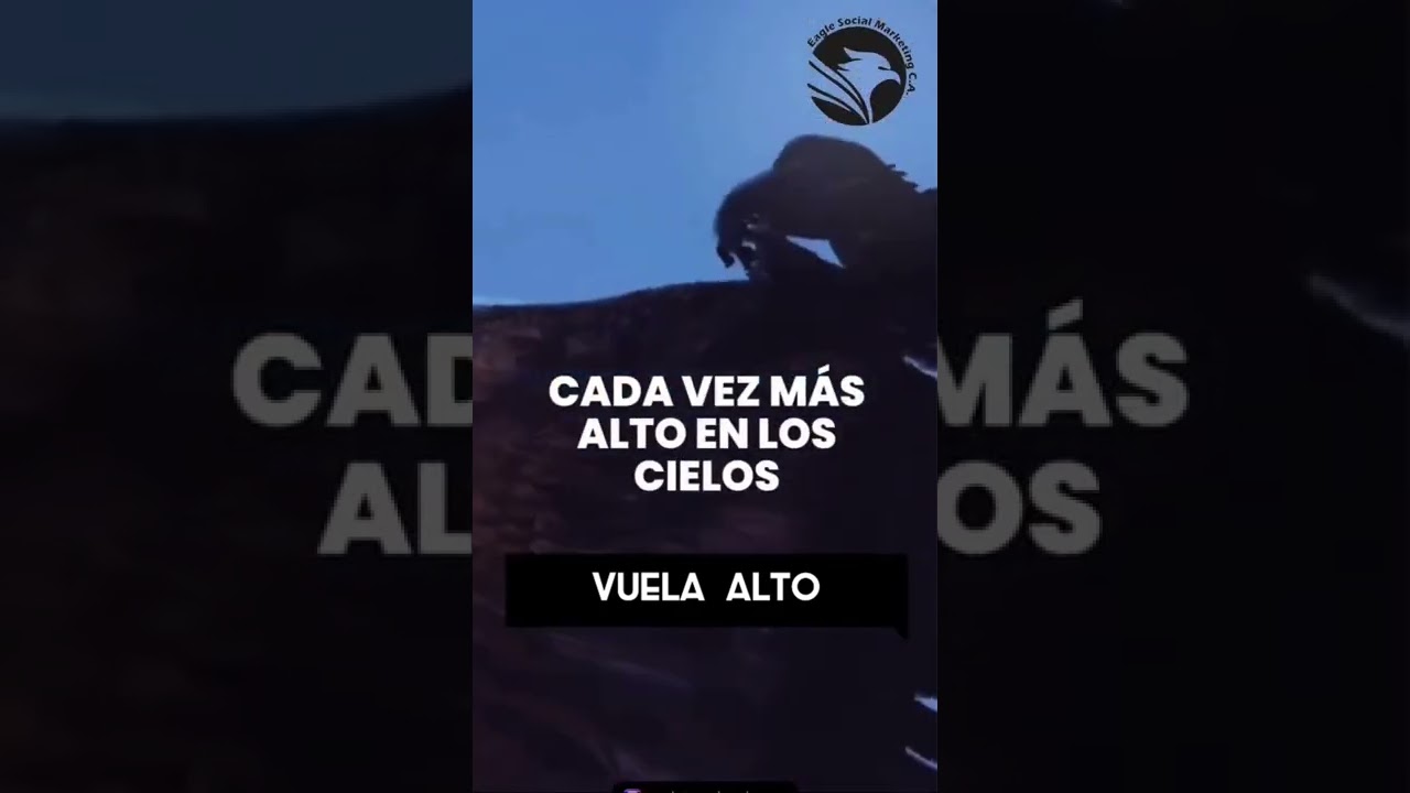 Un mensaje bonito por si te hace falta uno el d&iacute;a de hoy. #shorts #1millionviews #motivation