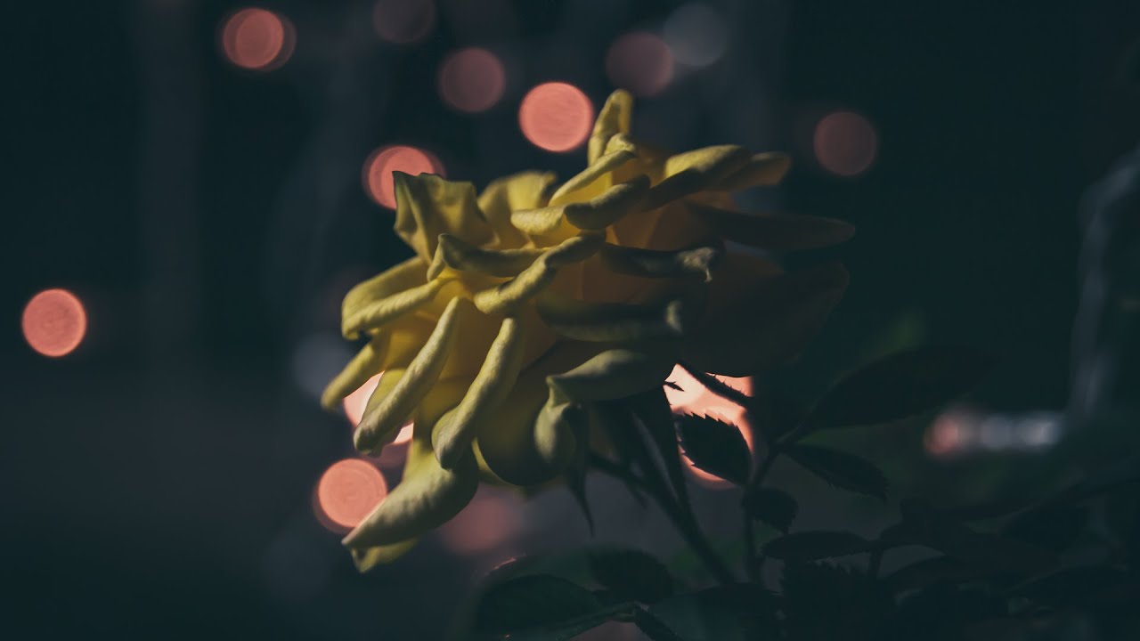 *The Last Lovely Love* Emotional trap beat of "Sori Beat"...بیت احساسی ترپ
