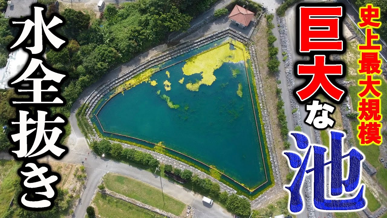 ハイサイ史上最大の池の水を抜いてみた【超巨大池水抜き#1】