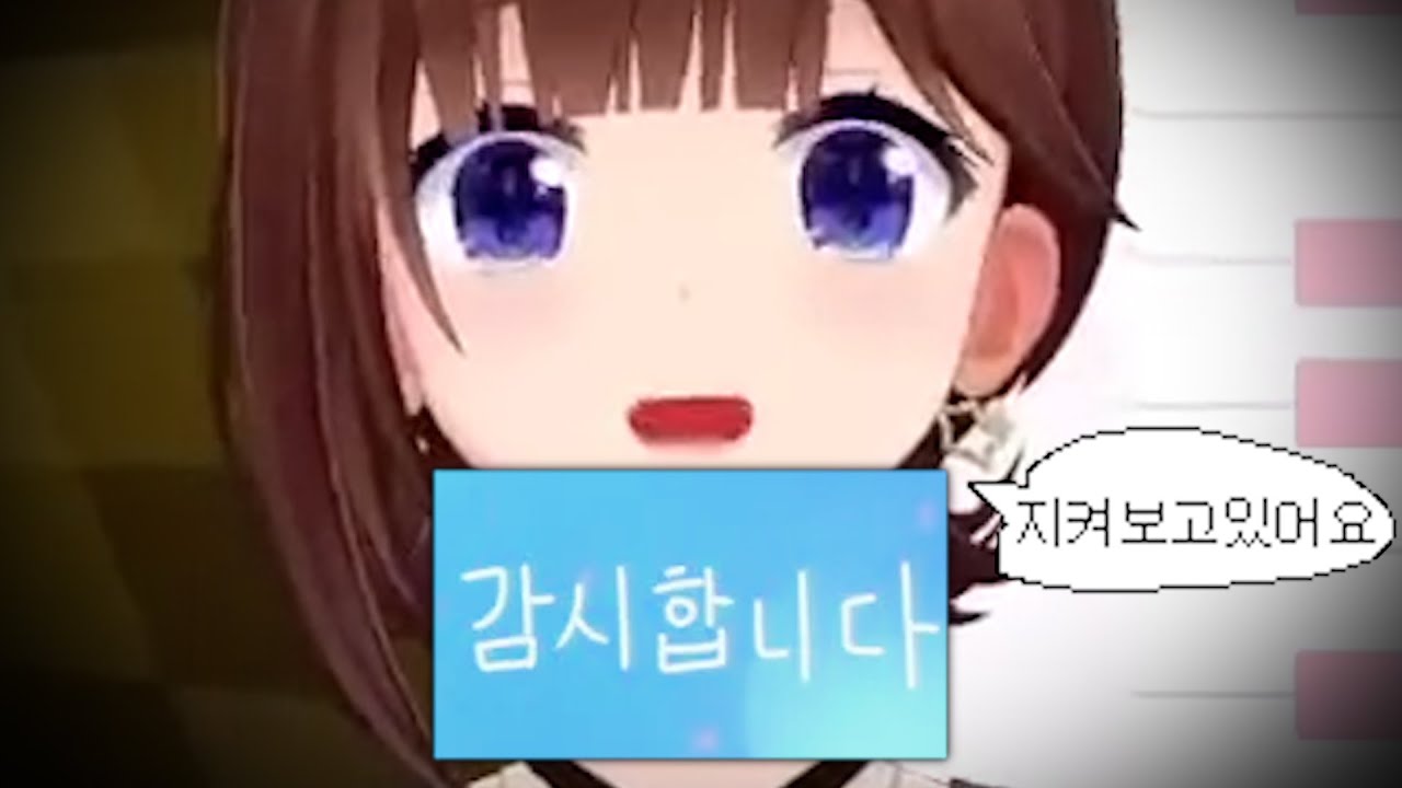 라이브 도중 공개된 한국팬 감시선언ㄷㄷㄷㄷㄷ [홀로라이브 | 토키노 소라]