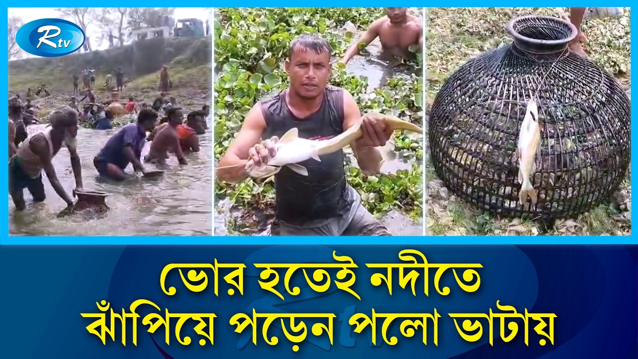 সকাল হতেই কোমর–পানিতে নেমে পড়েন শত শত মানুষ | Fishing | Rtv News
