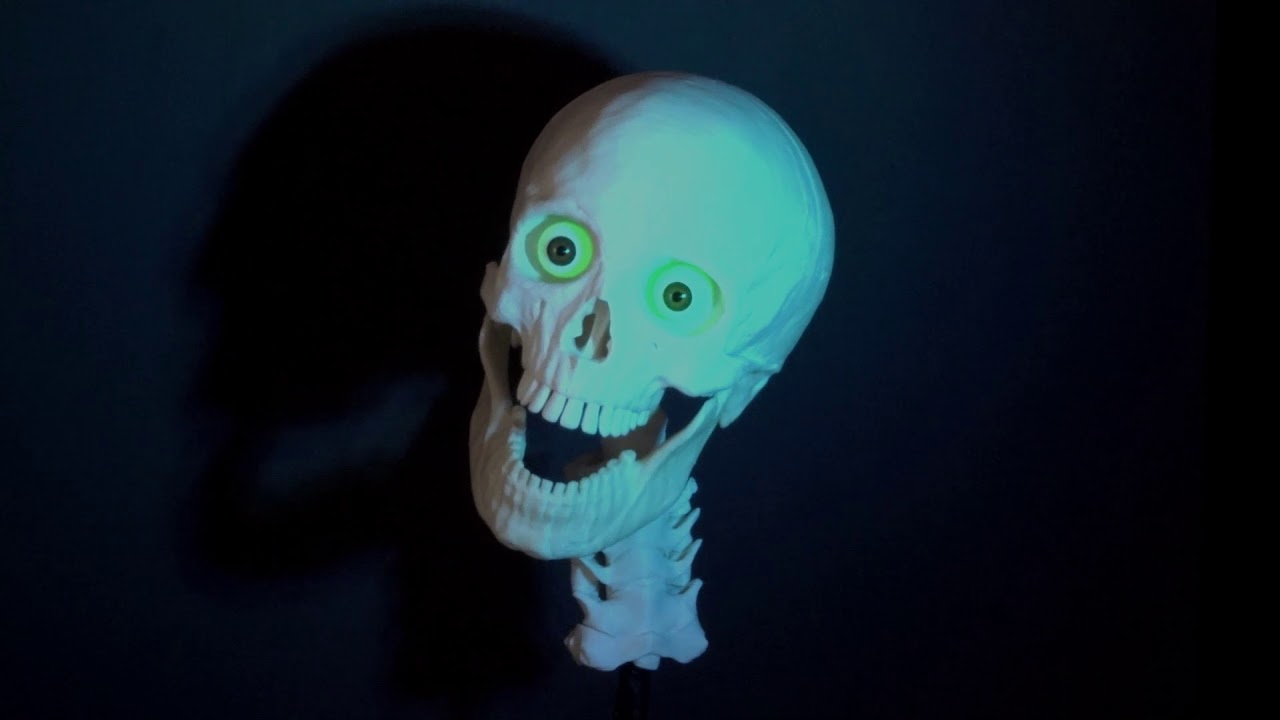 I Like Nightmares
