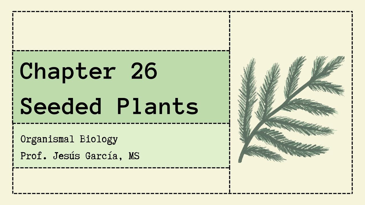 Глава 26 - Растения, выращенные из семян