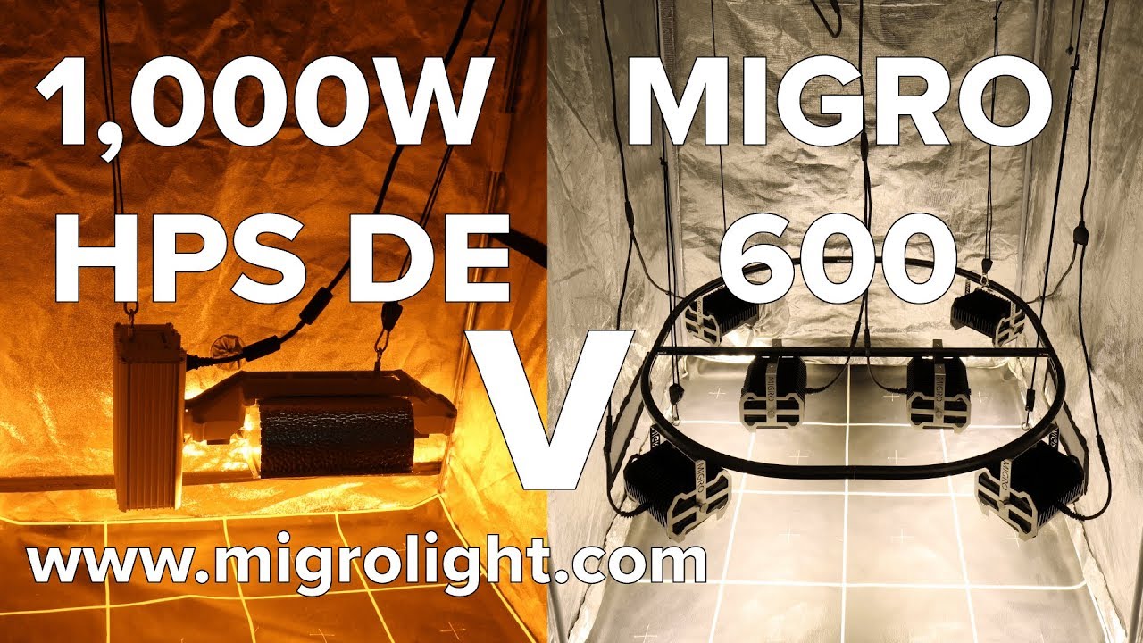 1000W HPS DE (Gavita Pro 400V) Vs MIGRO 600 LED