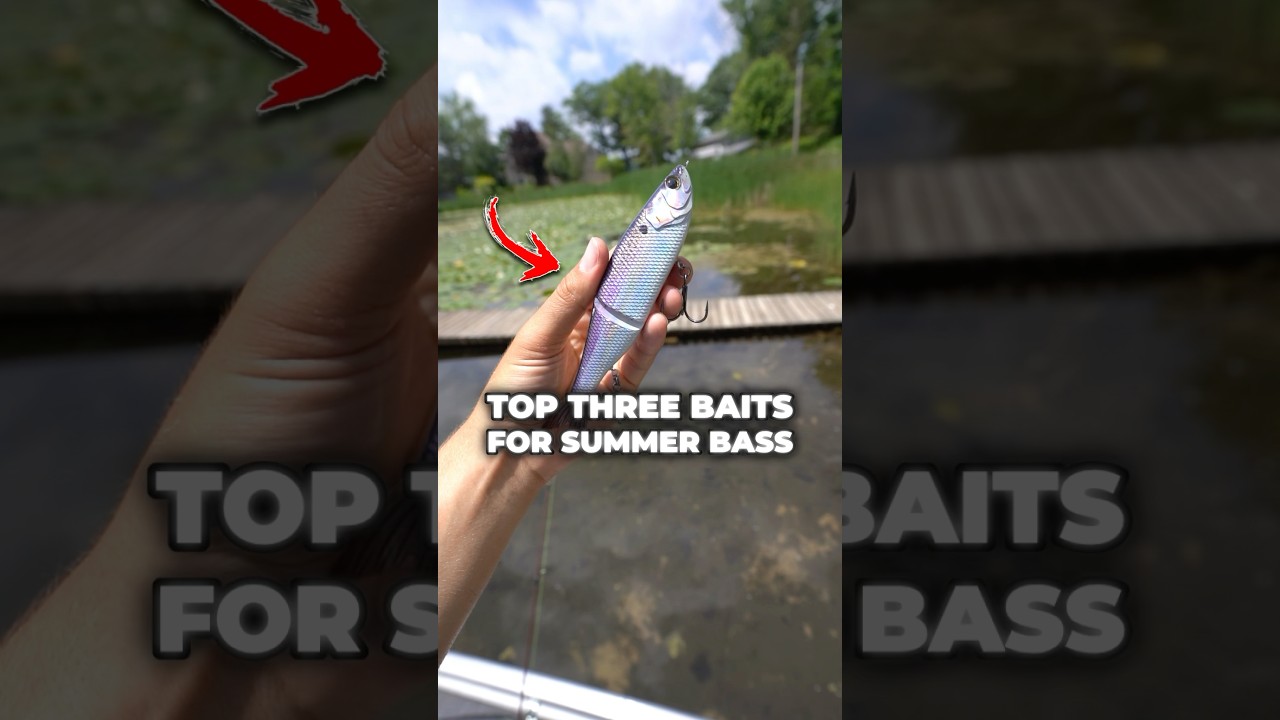 Top 3 BEST Summer Bass Fishing Baits 🎣🔥 #fishing