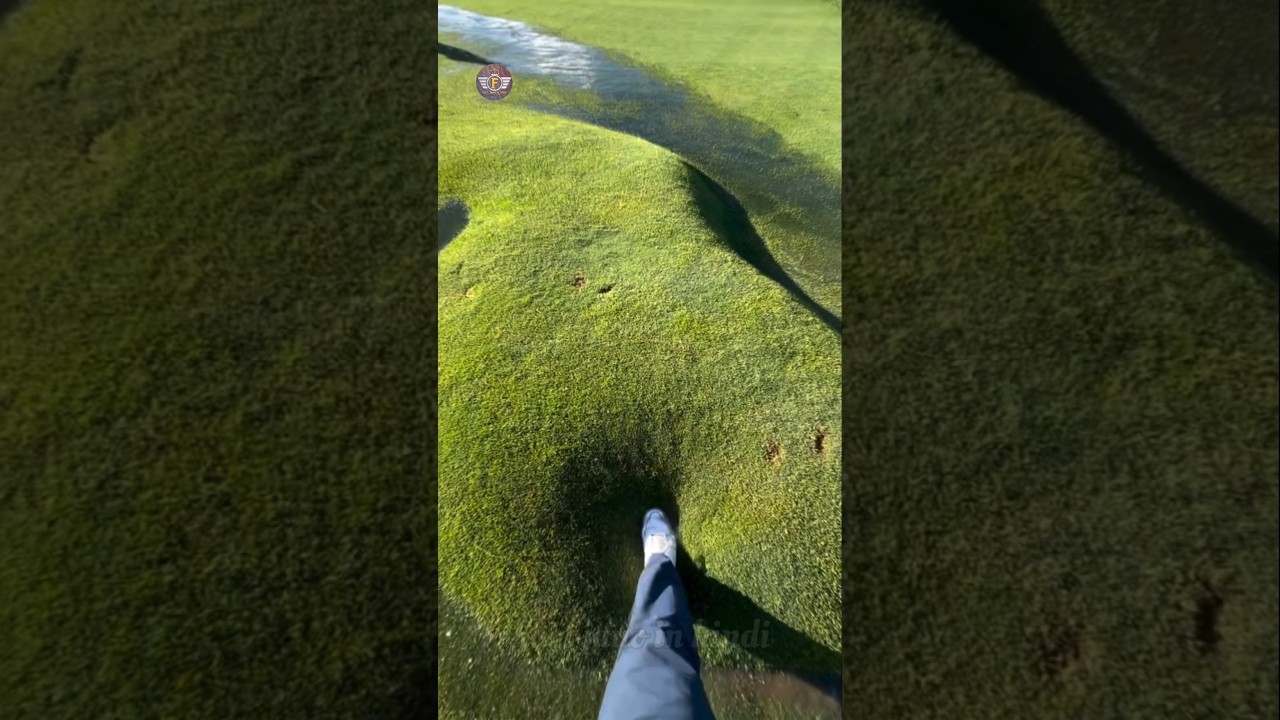 How is grass installed in a cricket stadium?