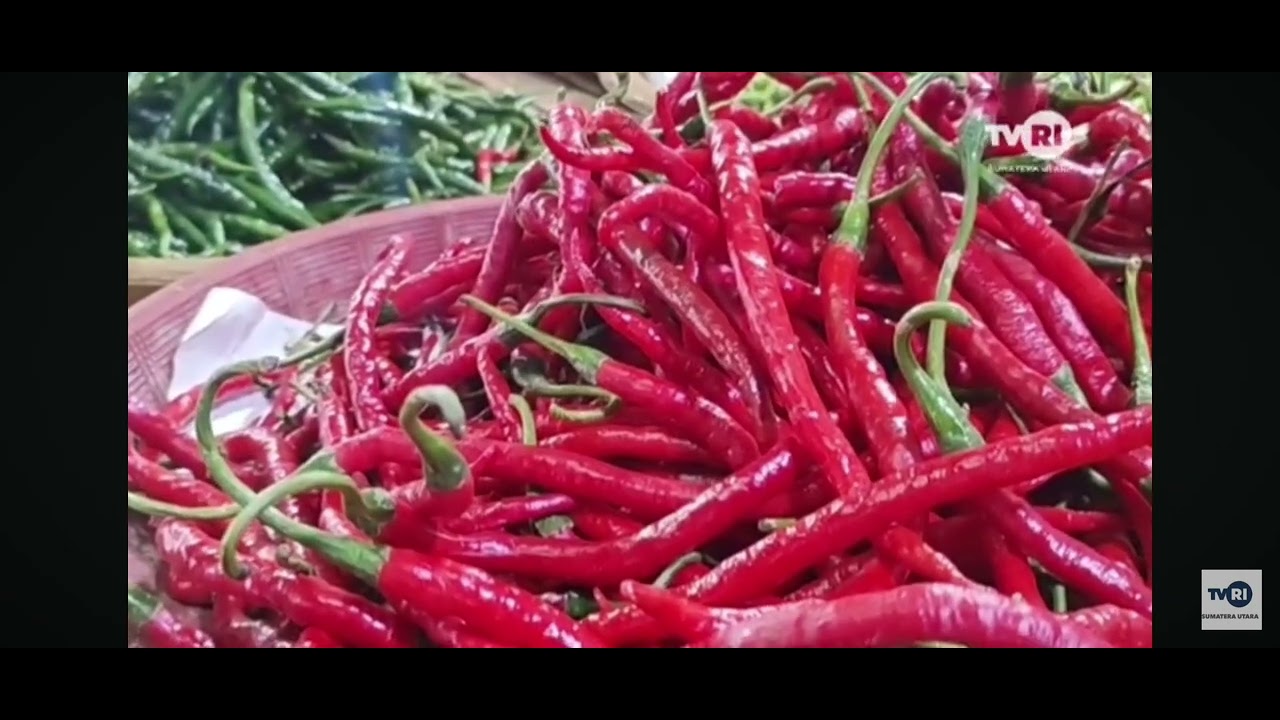 Upaya Menjaga Stabilitas Harga Bahan Pangan di #sumut 