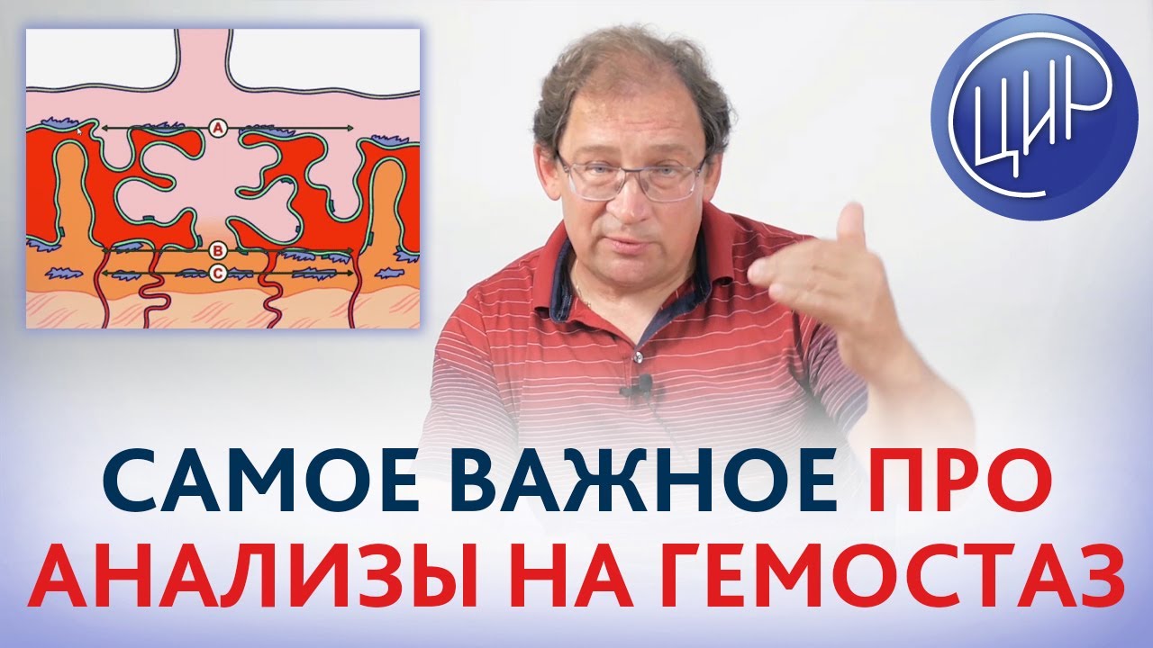 Анализ на гемостаз. Кому надо сдавать анализы на гемостаз при беременности. Показатели и расшифровка