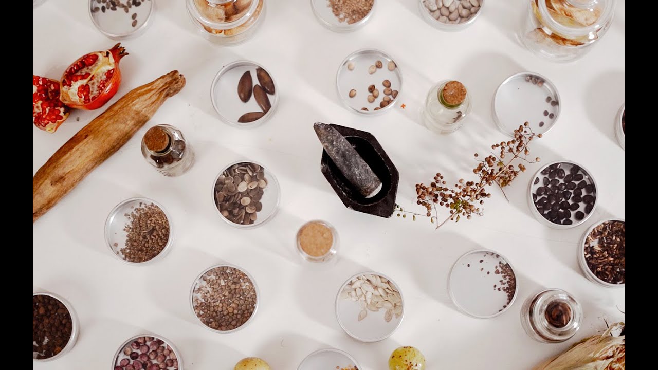 How to Establish a Living Seed Library, with Material Library of India