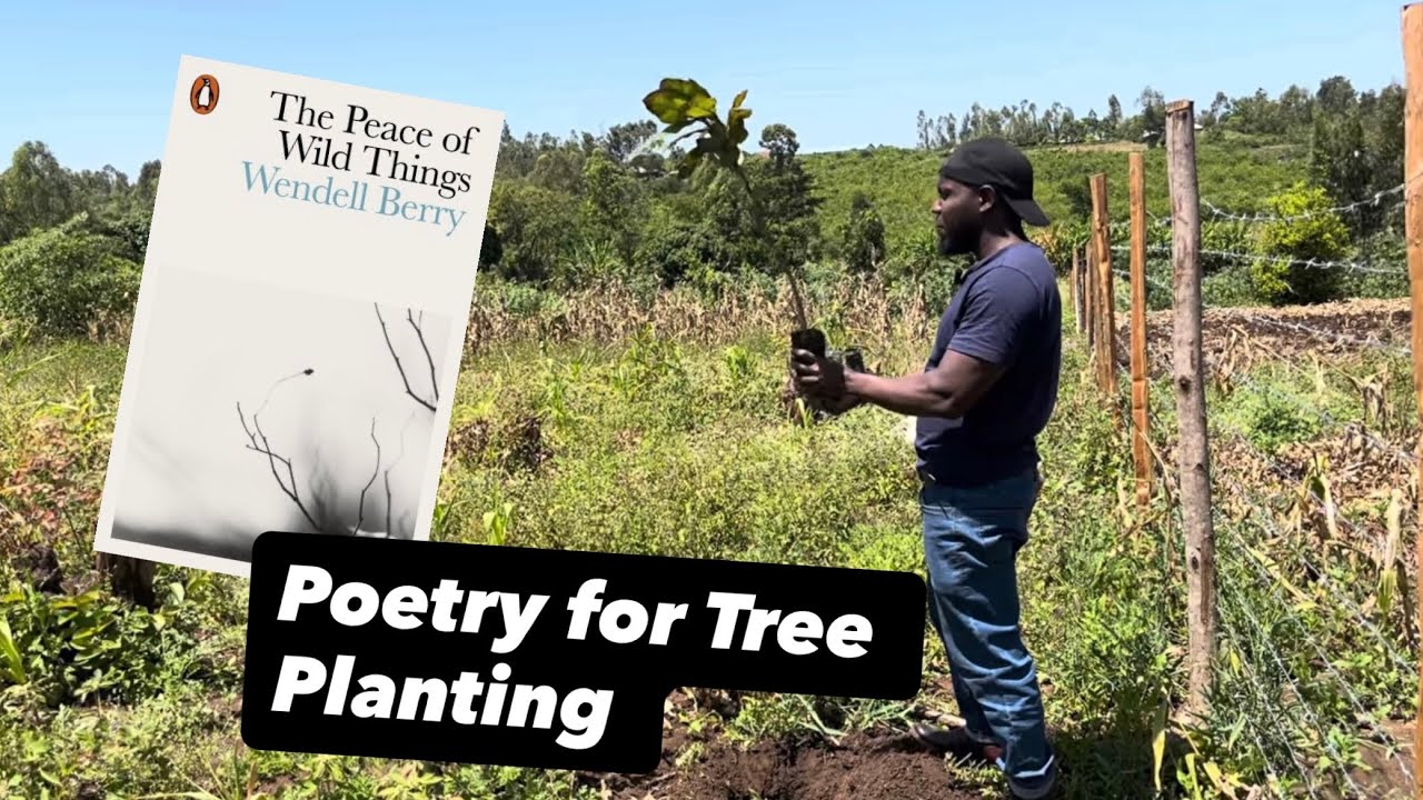 Tree Planting Rites: Homage to Wendell Berry 