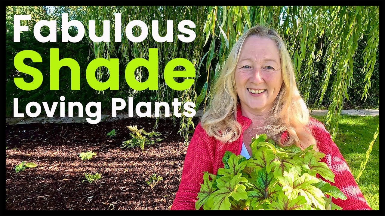 Creating my woodland garden: Beautiful plants for shade