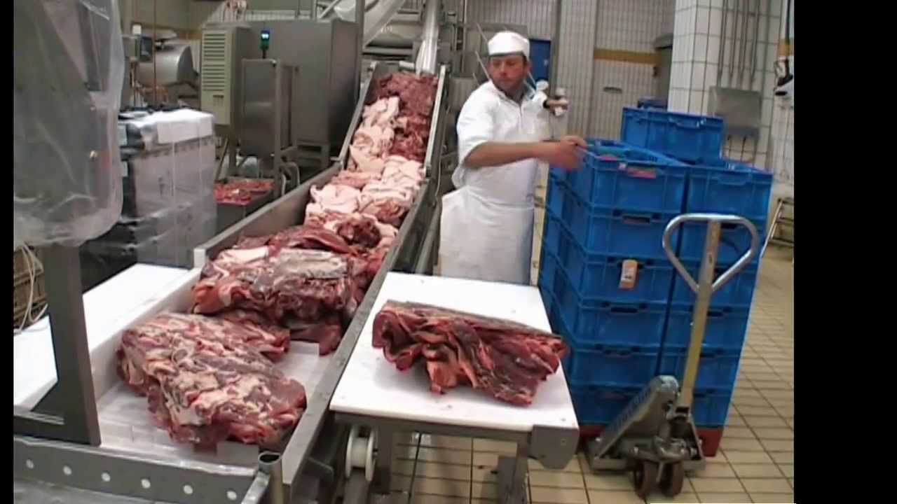 Salami Processing Line with Cutter