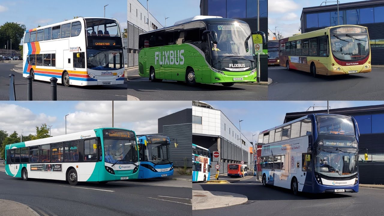 Buses at Hull Interchange (18/09/2024)