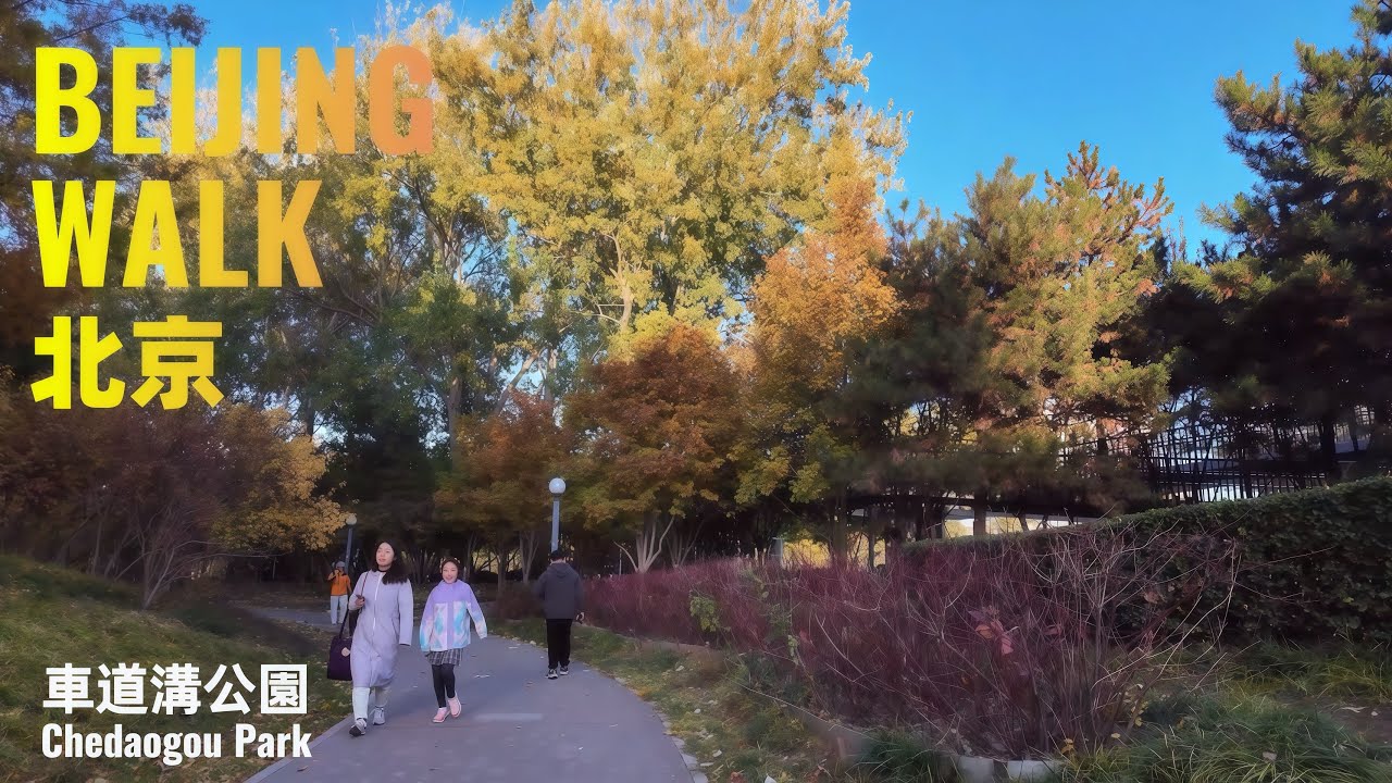【BeijingWalk】Autumn Forest Walk at Chedaogou Park | 北京秋天‧車道溝公園悠閒散步｜2025｜4K Ambience