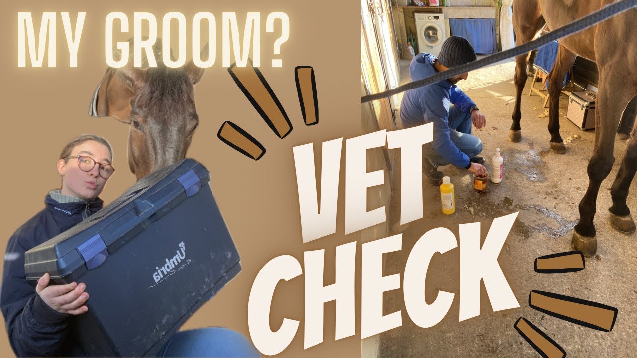 Visita col VETERINARIO 💉e cosa c’è nella MIA GROOMING box??🤔