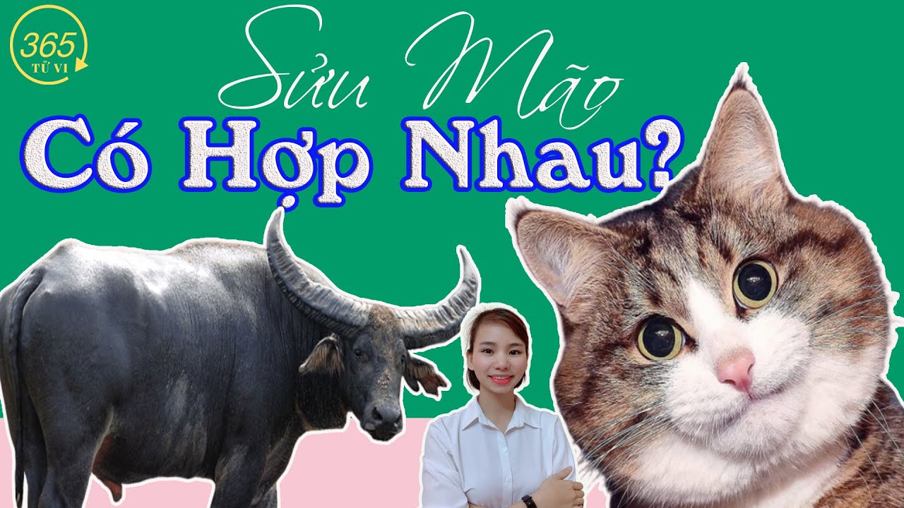 💓 Tuổi Sửu và Mão| Có Hợp Nhau Hay Không?