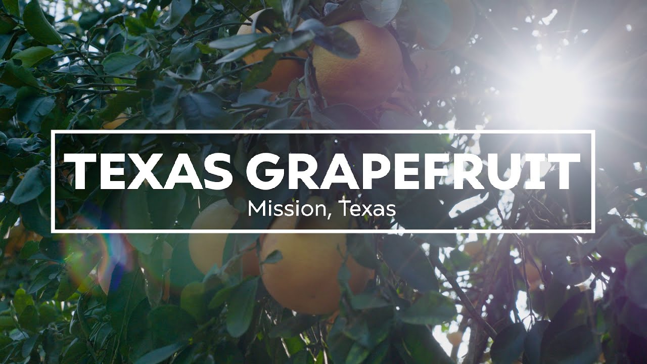 Texas Grapefruit