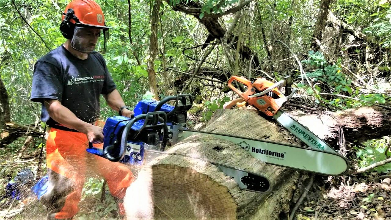 Dueling Chainsaws Farmertec Holzfforma G660 vs G444