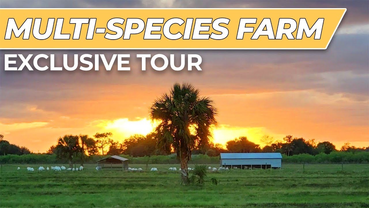 LIVE Tour: Circle C Farm [Regenerative Farm Business]