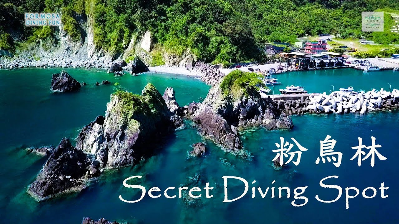 潛水秘境 東澳 粉鳥林  secret diving spot Fenniaolin Taiwan 寶島潛水趣
