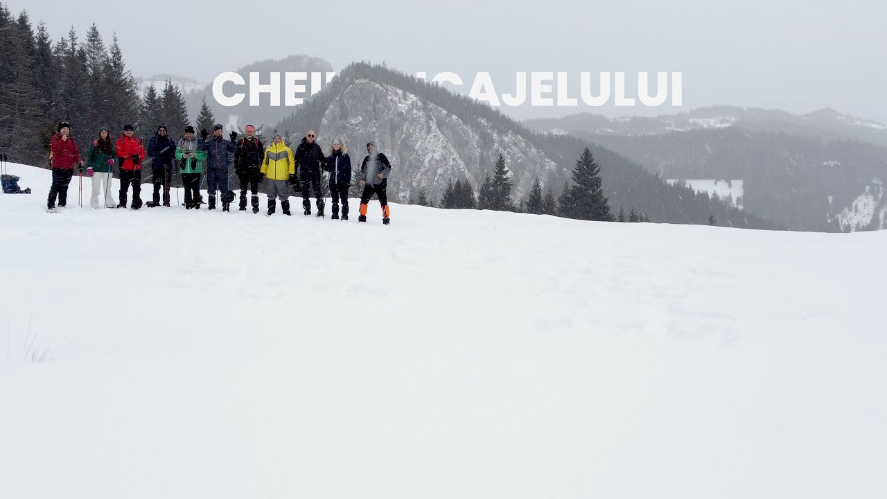Cheile Bicajelului