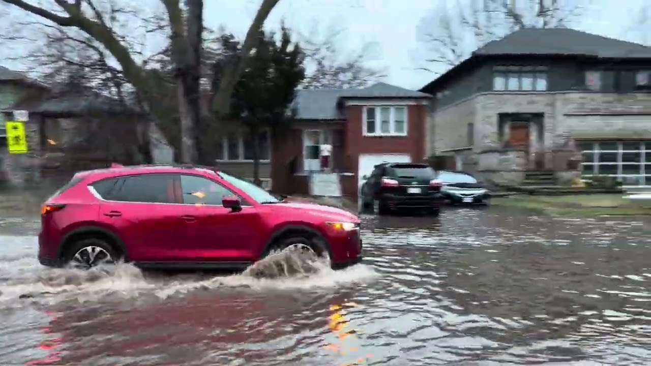 Good Samaritans Clear Storm Drain to Save Toronto Road from Flooding