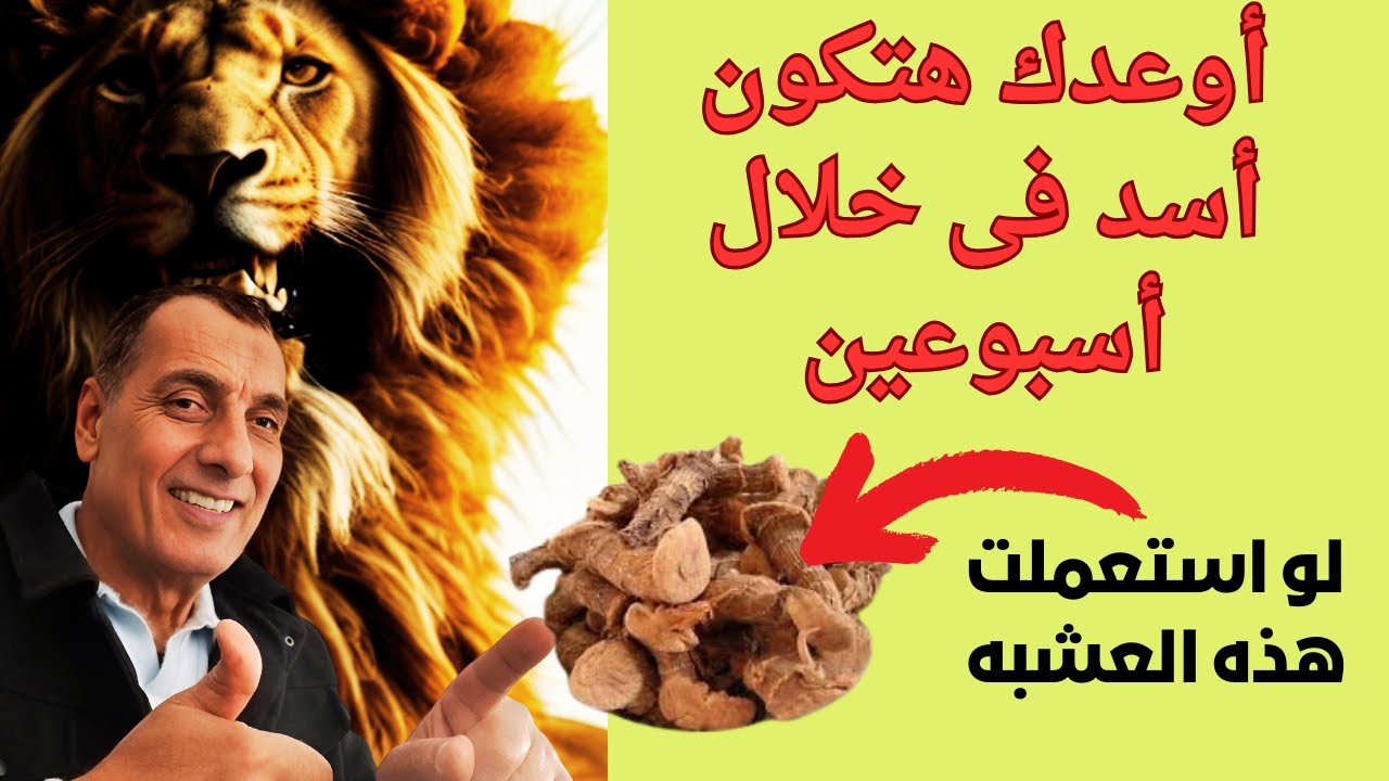 الخولنجان فياجرا الشرق هيخليك عنتيل وملك متوج على سريرك