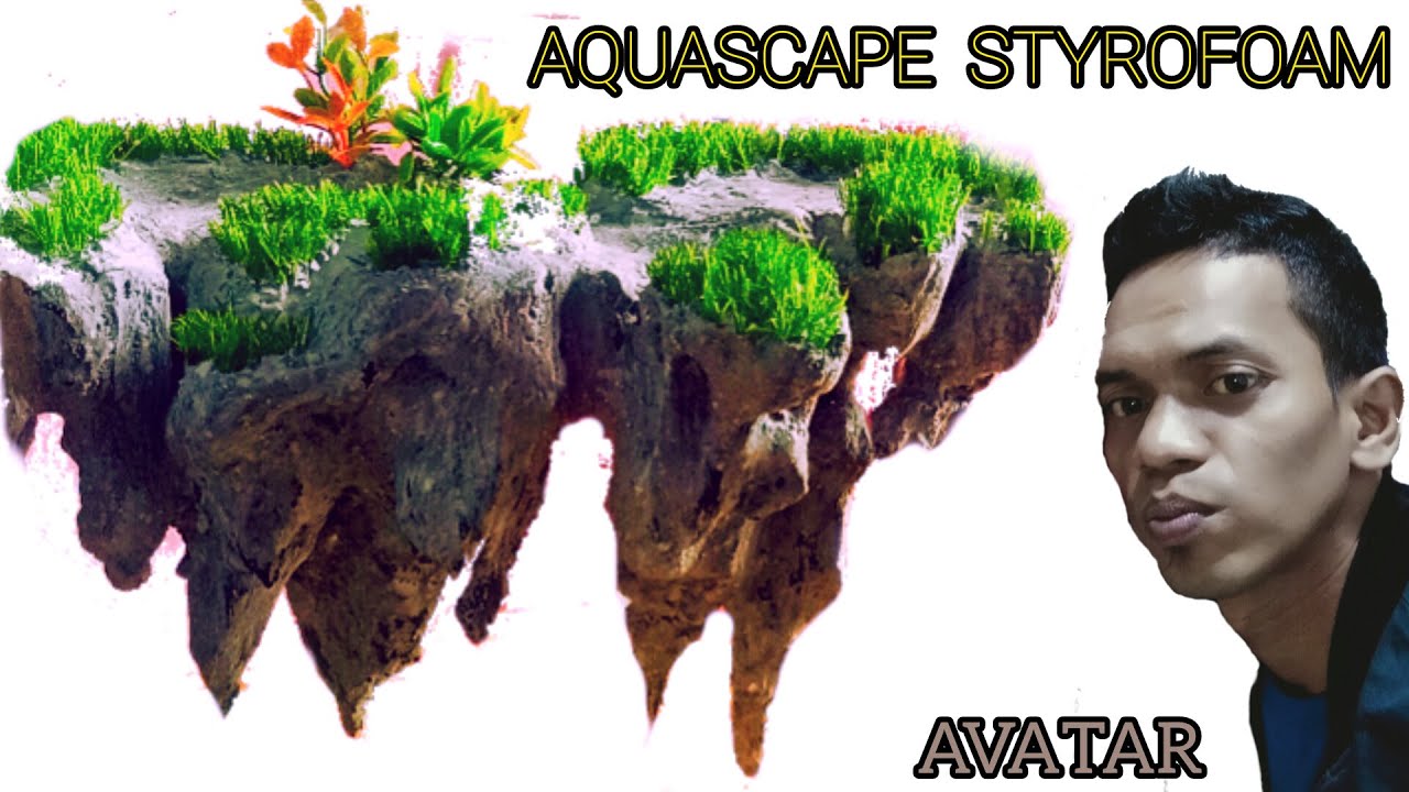 Membuat aquascape dari styrofoam Aquarium tema avatar