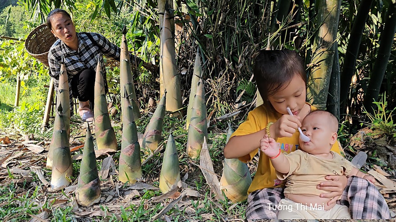 Taking care of the baby while the mother goes to harvest bamboo shoots go sell | Tương Thị Mai