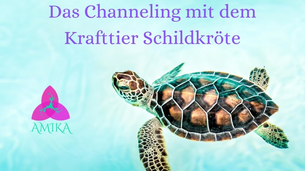 Krafttier Channeling Schildkröte
