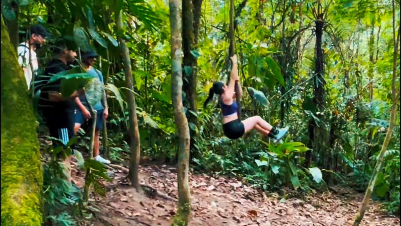Reserva Natural Barbas Bremen 🇨🇴(Documental)