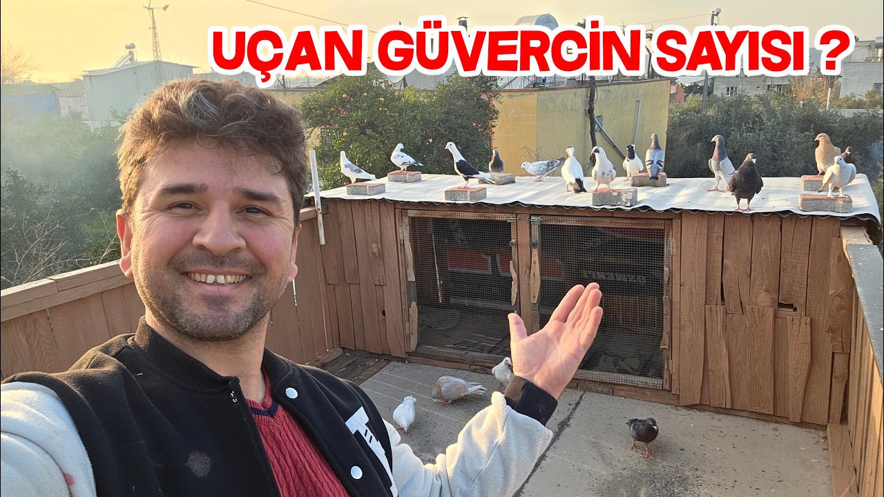 Kanadını Açtığım Tüm Güvercinleri uçuruyorum