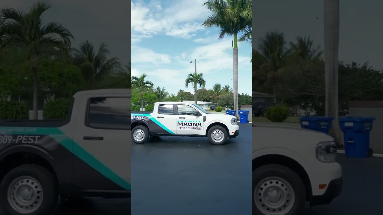 Commercial wrap Miami. 