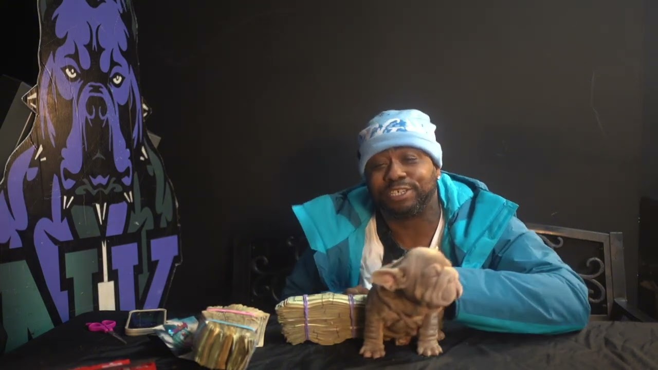 PBC KENNELS PULL UP TO NYCE KENNELS DOG PLUG PODCAST