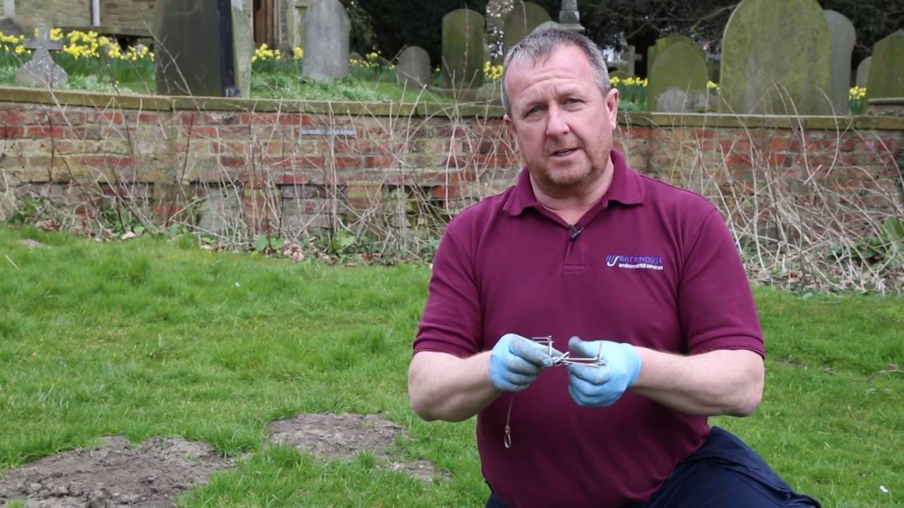Pest control for mole infestations - MJ Backhouse