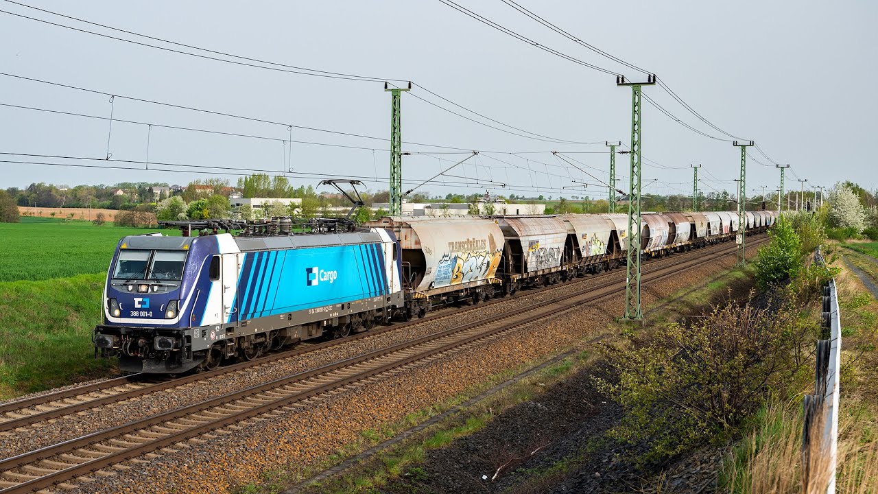Bunter Zugverkehr - HVLE EuroDual, European Sleeper, ITL, BL24 155, CD Cargo uvm. rund um Dresden 2