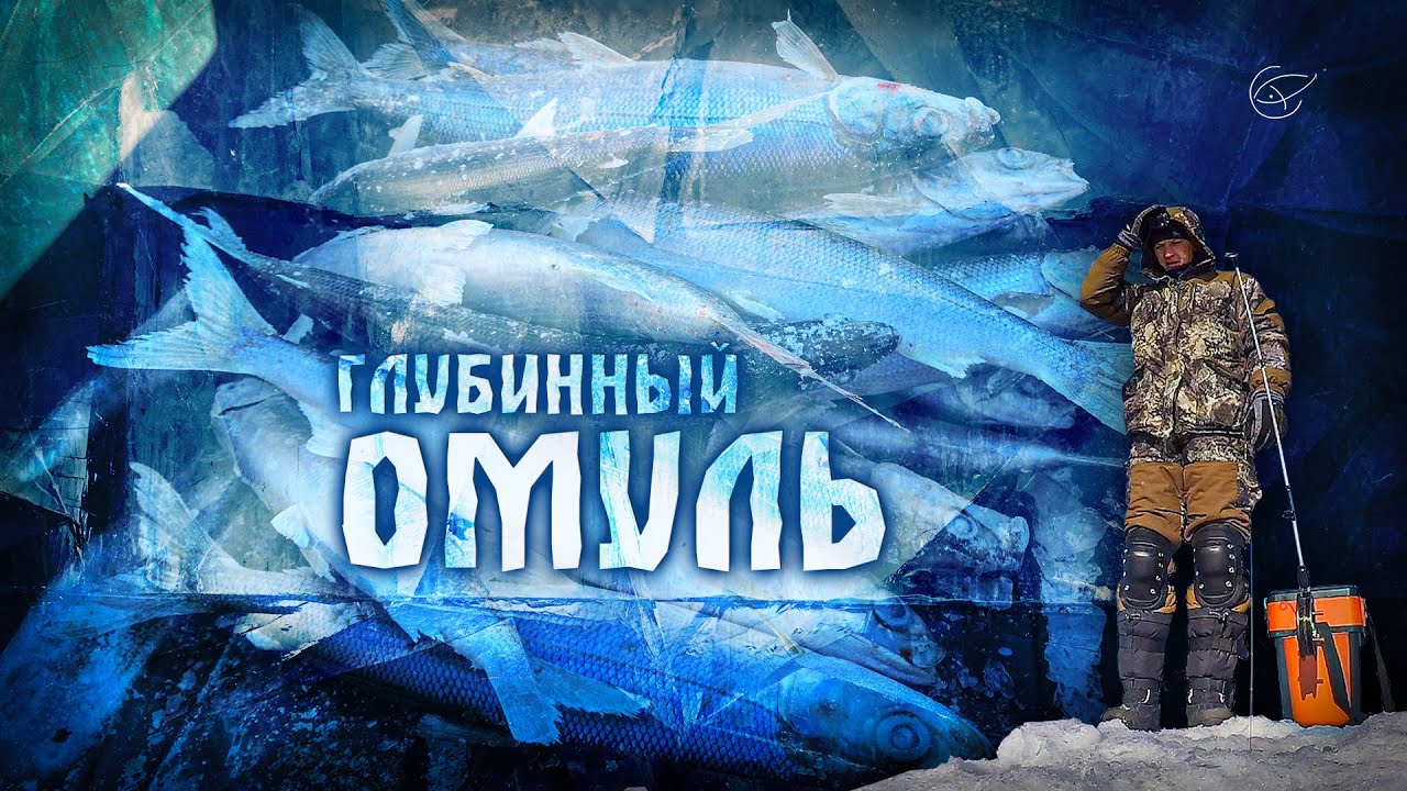 РАЗЛОВИЛИ БАЙКАЛЬСКОГО ОМУЛЯ  [Рыбалка в Сибири]