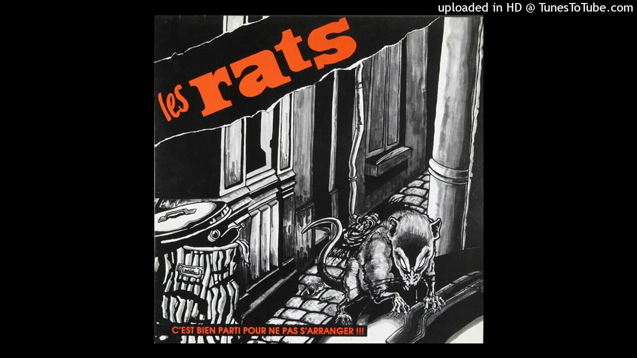 Les Rats  Paris S'&eacute;veille