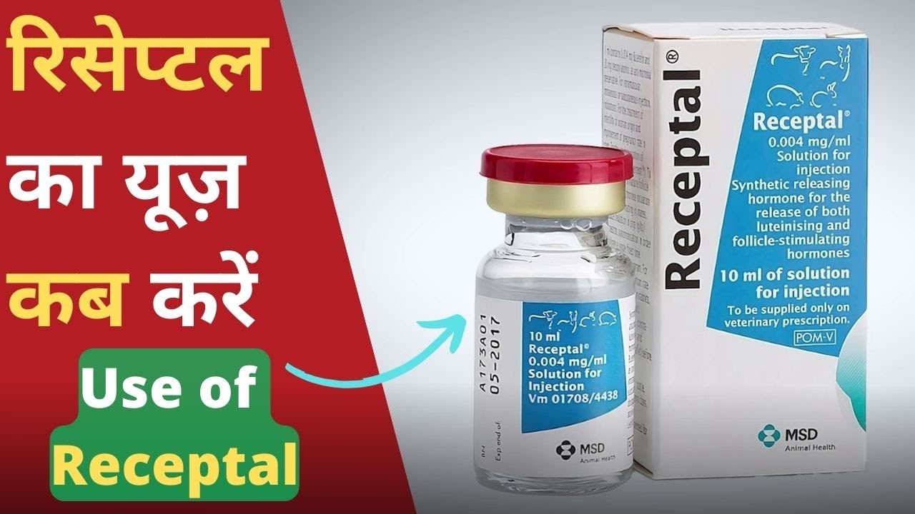 रिसेप्टल का यूज़ कब करें | When to Use Receptal in Cow and Buffalo