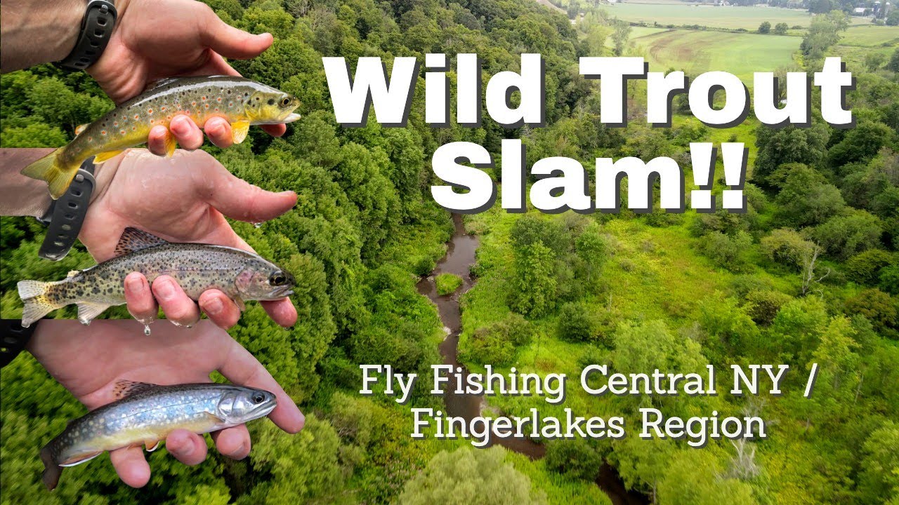 Wild Trout Slam - Fly FIshing Central NY Finger Lakes Region