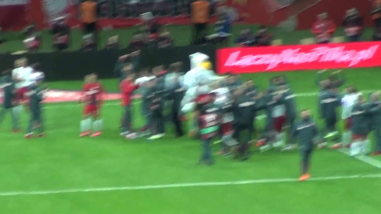 Polska vs Irlandia 2:1 wszystkie bramki + oprawa MAMY EURO 2016