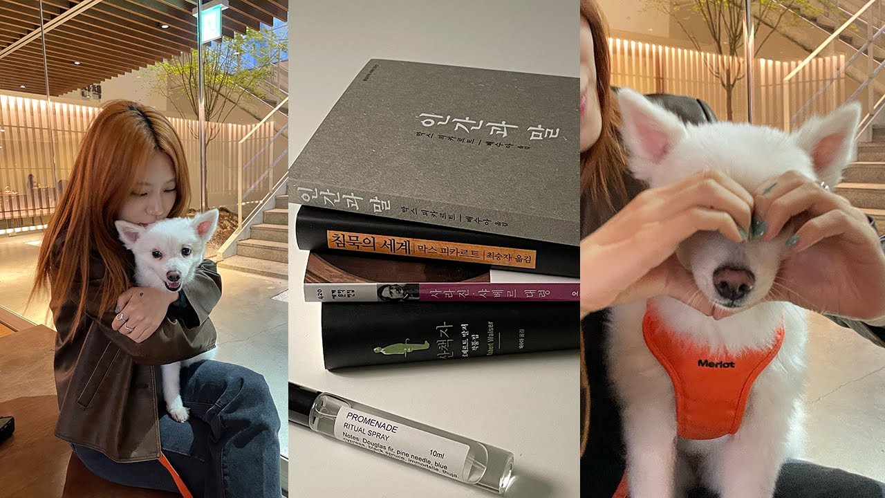 vlog. 조용한곳만을 찾아다니는 내향형 인간의 브이로그. 좋아하는 공간 추천🏕️