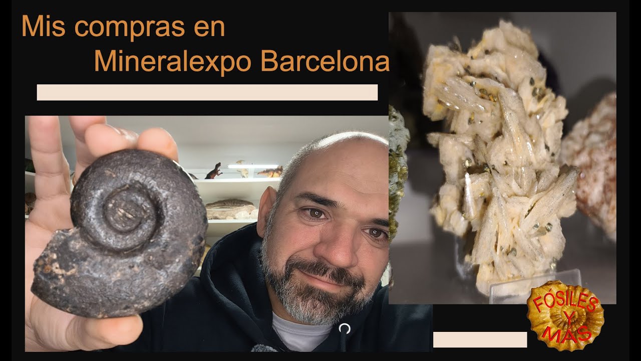 Compras de Mineralexpo Barcelona