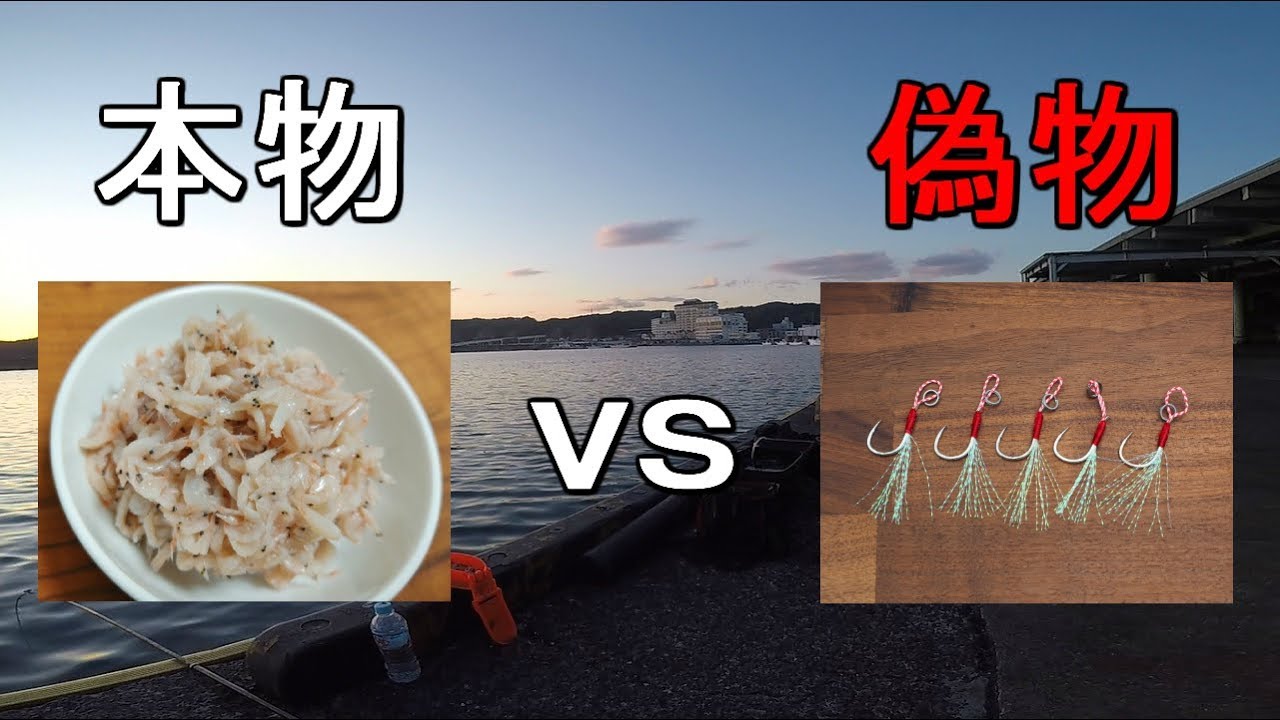 【勝浦漁港】トリックサビキと通常サビキどちらが釣れるのか？という検証をしていたら…！【2020.03.24】