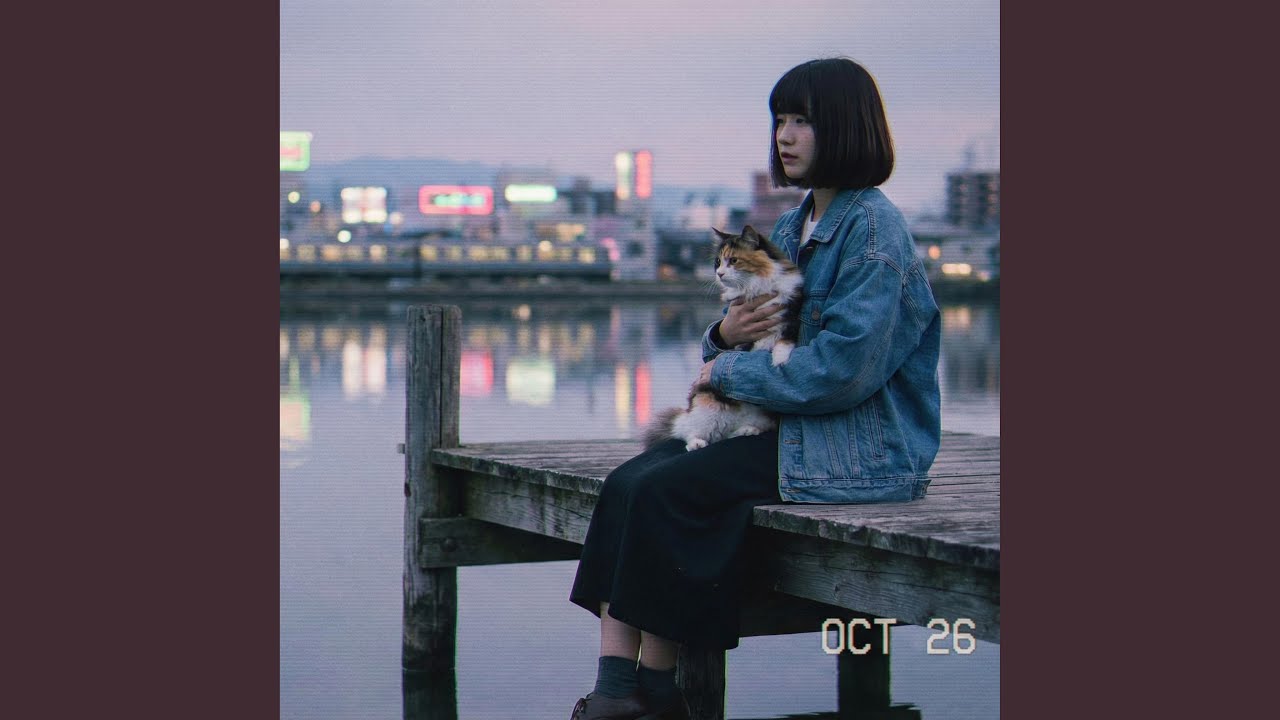 Shiga Lake Biwa Twilight City Pop