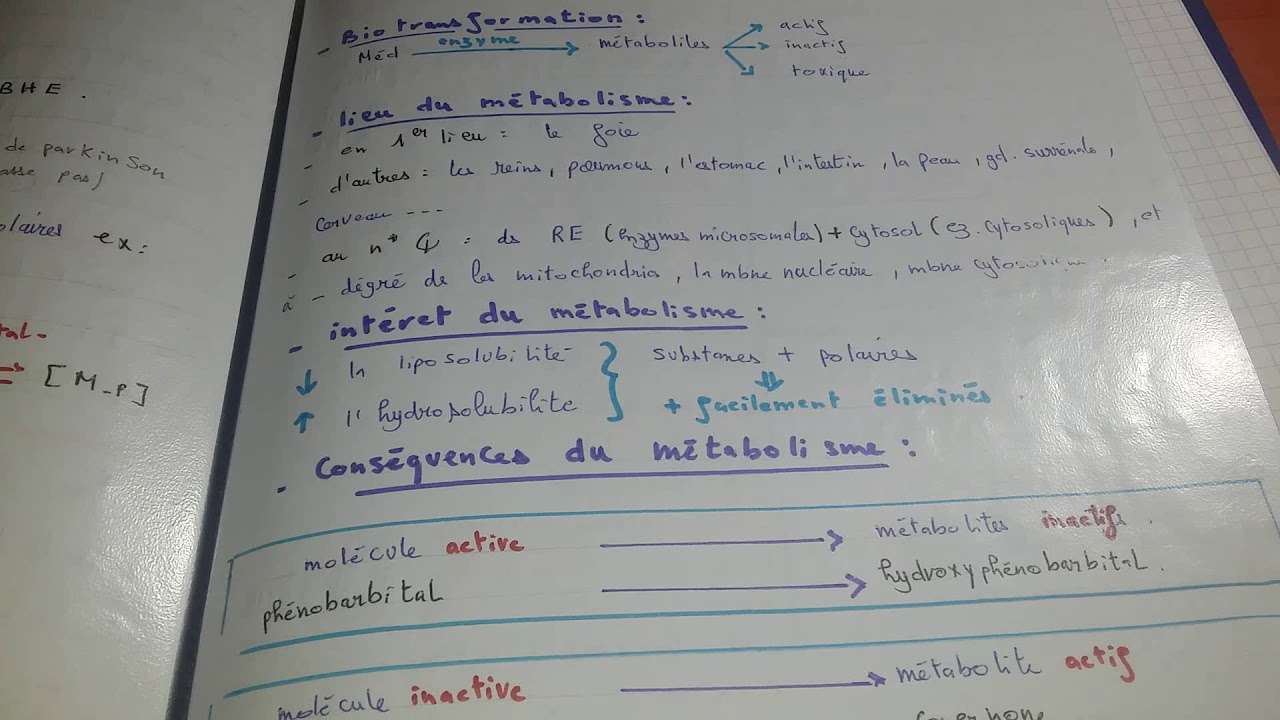 Le métabolisme des médicaments
