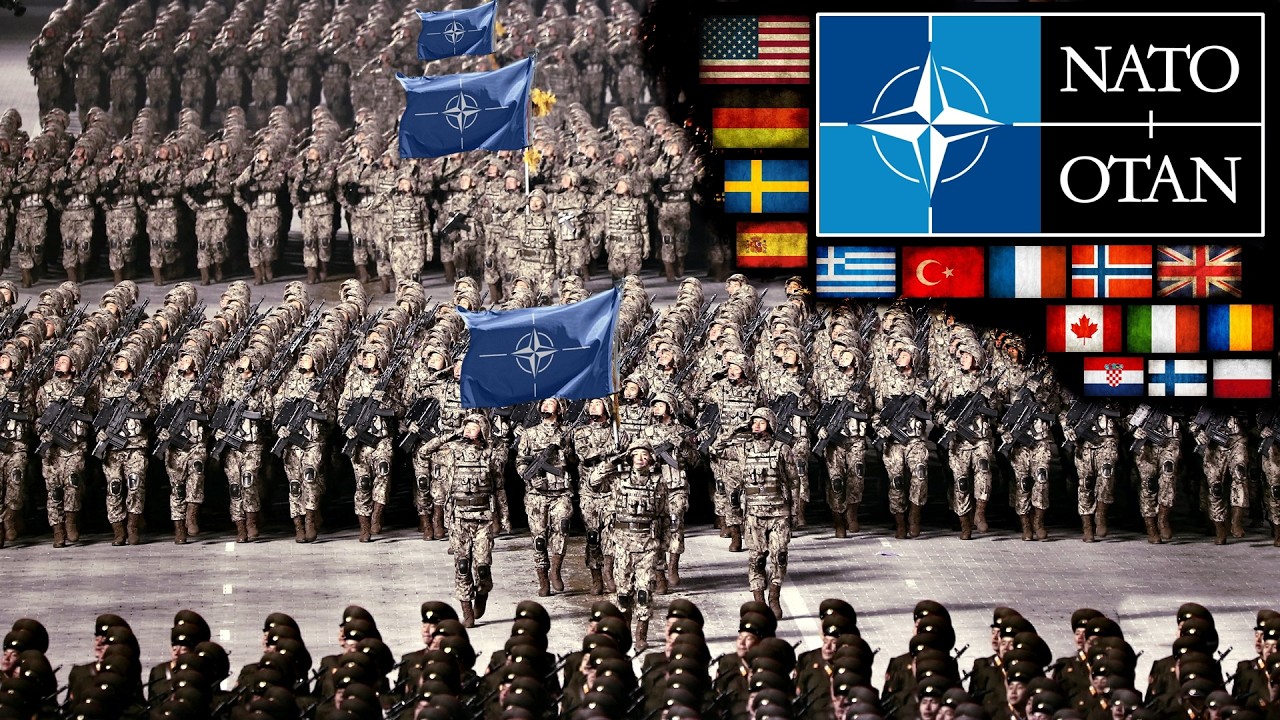 30 Most Powerful Land Forces in NATO | You'll Be Surprised | 2025