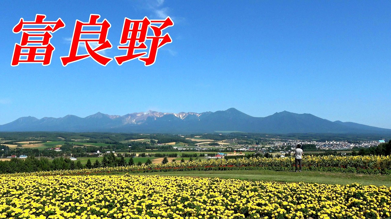 【北海道 富良野】これからが見頃！！夏休みこそお勧めの「お花畑たち」 ４K