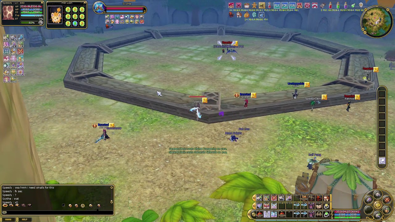 Insanity Flyff Slayer PvP
