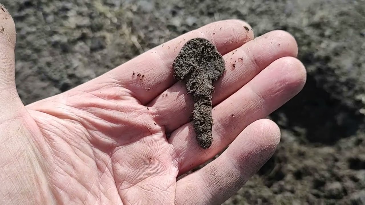 Minelab X-terra pro 5 часов поиска по копаным местам🫡👋🔎😉но знаки  к ORRRO есть😁🤝
